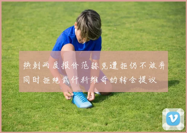 热刺两度报价范赫克遭拒仍不放弃同时拒绝武什科维奇的转会提议