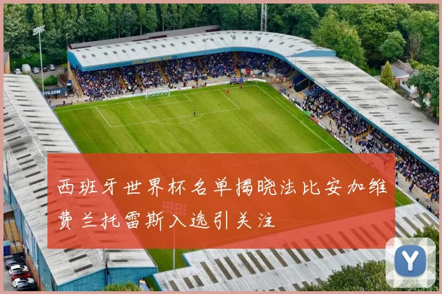 西班牙世界杯名单揭晓法比安加维费兰托雷斯入选引关注